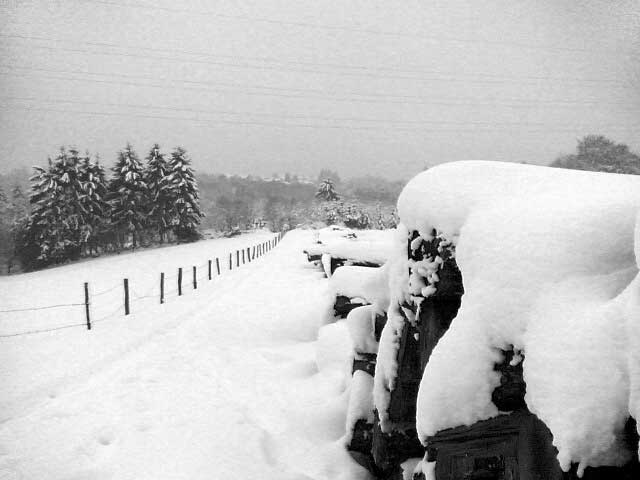 Winterlandschaft