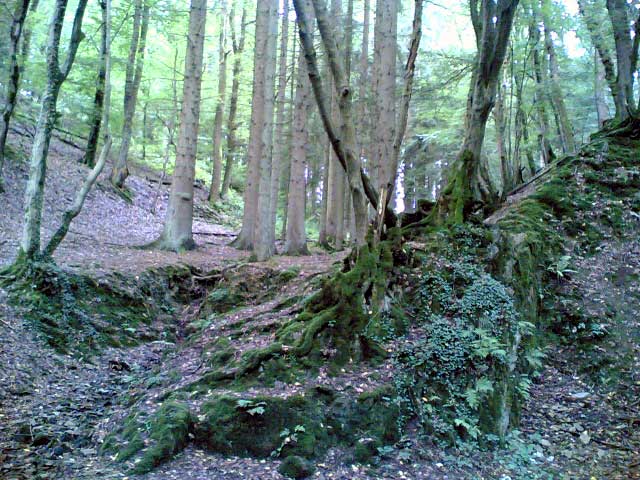 Wanderung Altenberg