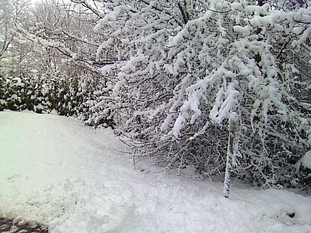Schnee