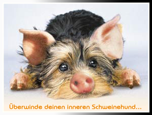 Innerer Schweinehund