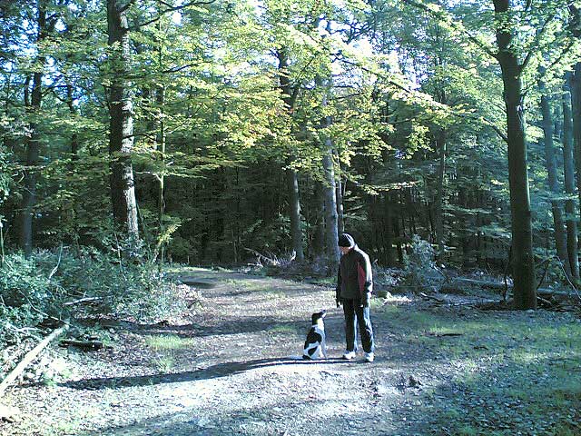 Anja und Paul im Wald