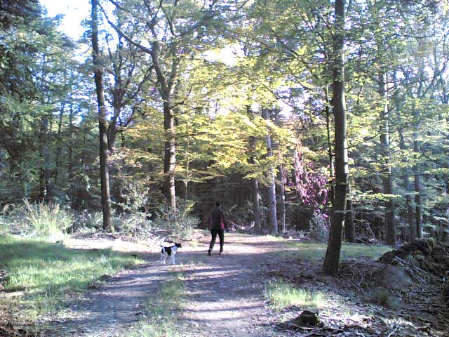 Anja und Paul im Wald
