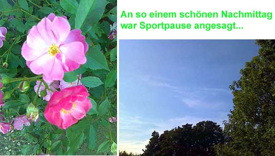 Rosen und Himmel