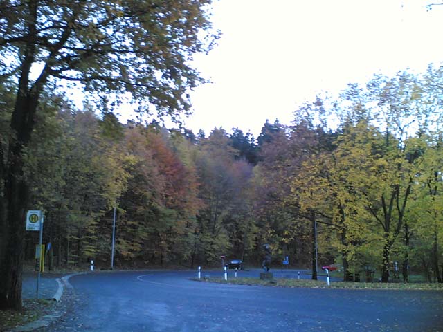 Wald und Parkplatz