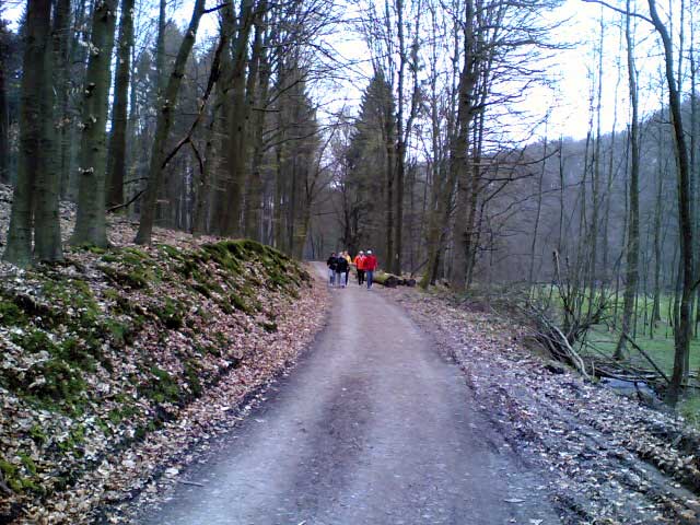 Nordic Walking