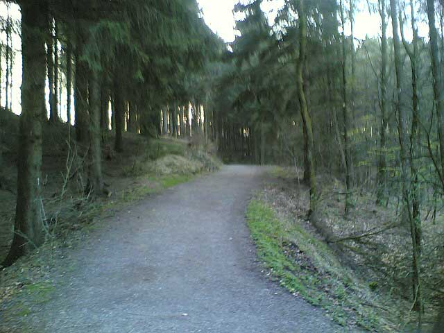 Steigung nach dem Bäumchen