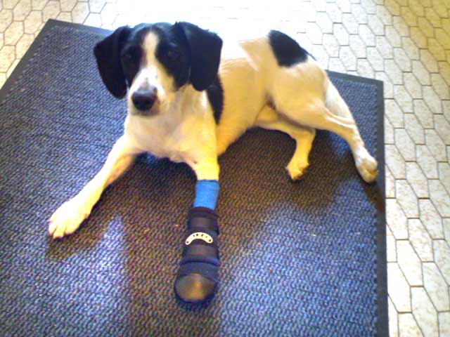 Paul mit Schuh