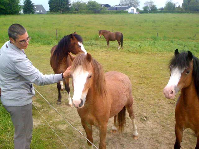 Anja und Pferd