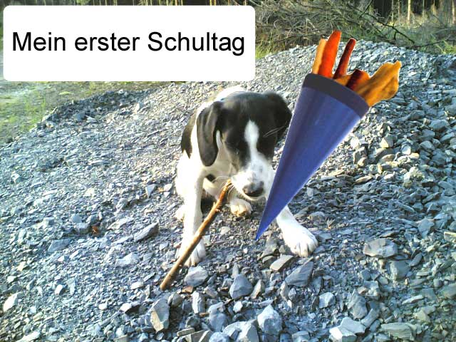 Paul mit Schultüte