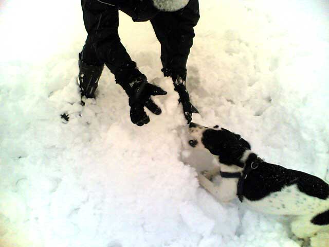 Paul und der Schneemann