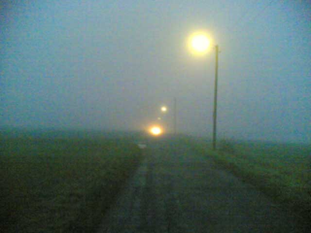 Nebel