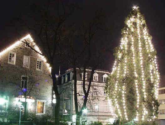 Weihnachtsbaum