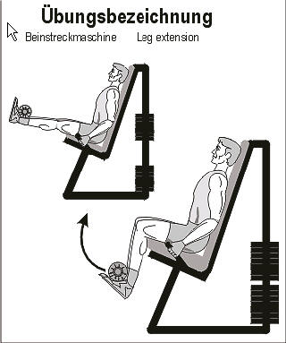 Beinmaschine